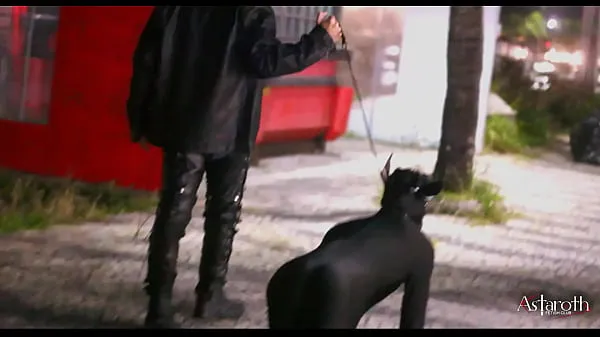 XXX Master takes his pet dog for a walk in the City. P1 warm Tube